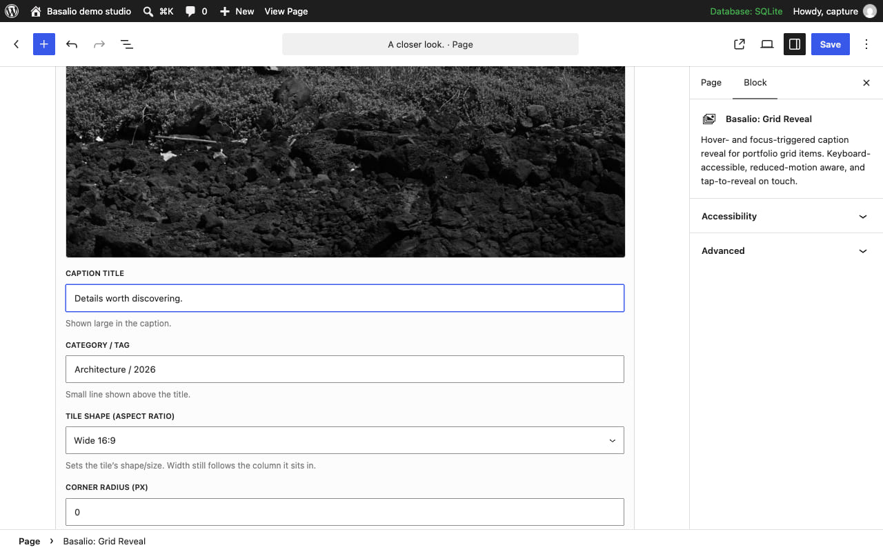 WordPress / Block editor. Recorded with the Basalio free plugin.